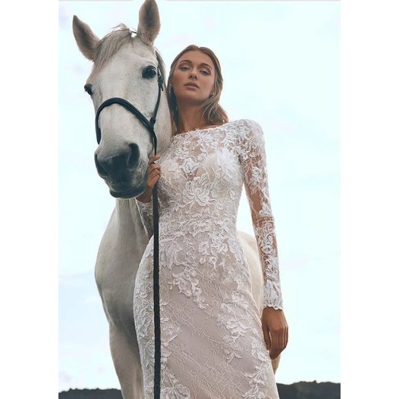 Pronovias Panjin Wedding Gown Size 14 Lace Long Sleeve - Picture 4 of 15